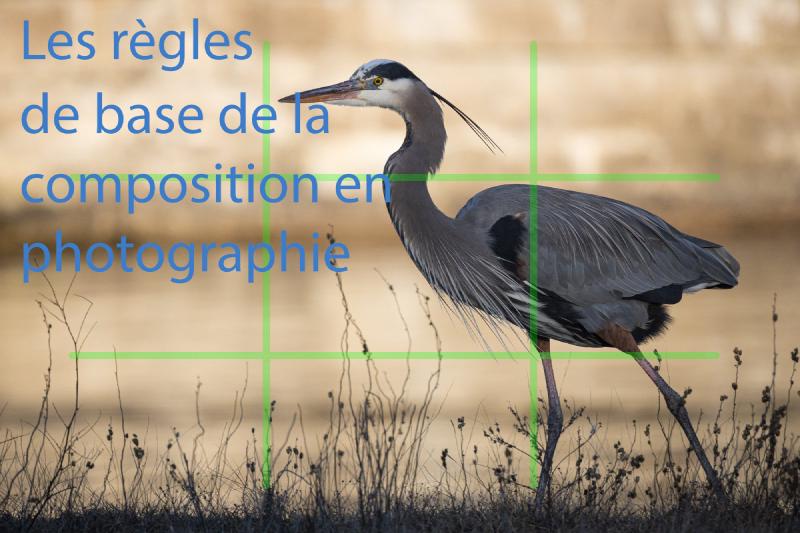 Lien vers Les règles de base de la composition